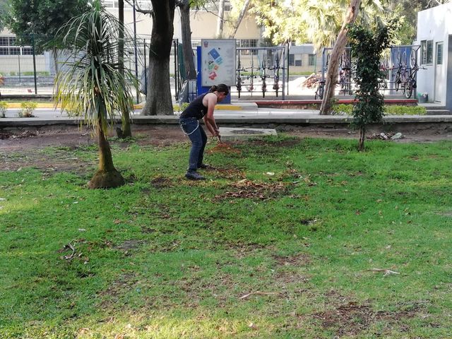 Sin Nombre